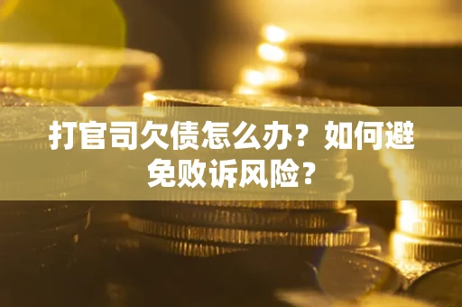 北京打官司欠债怎么办？如何避免败诉风险？