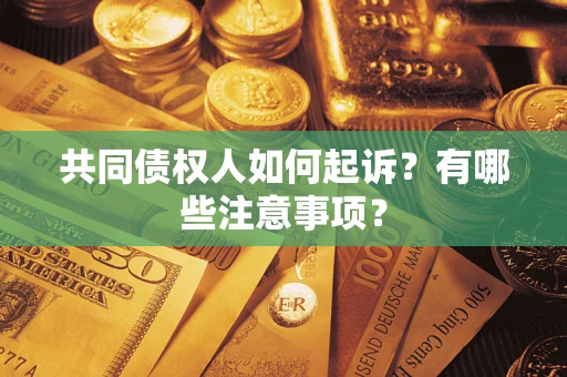 北京共同债权人如何起诉？有哪些注意事项？